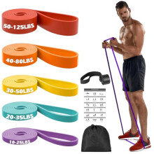 Zacro Pull Up Bands Set 5 Levels Resistance Bands Set for Men and Women Exercise Loop Bands with Door Anchor Training Poster Pouch for Workout Ho