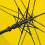 FORZA Sport Umbrellas  60 Double Layered Canopy With a Locking Button For I 2