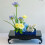 Large Rectangular Ceramic Plant Saucer with Dotted Pattern for Indoor and Outdoor Use 2