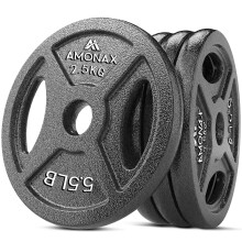 Amonax Cast Iron Weight Plates Set 25kg 5kg 10kg Dumbbell Plates for 1 Weig