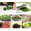 Herb Scissors Stainless Steel Multi Blade Kitchen Shears for Fast Vegetable and Herb Cutting 2