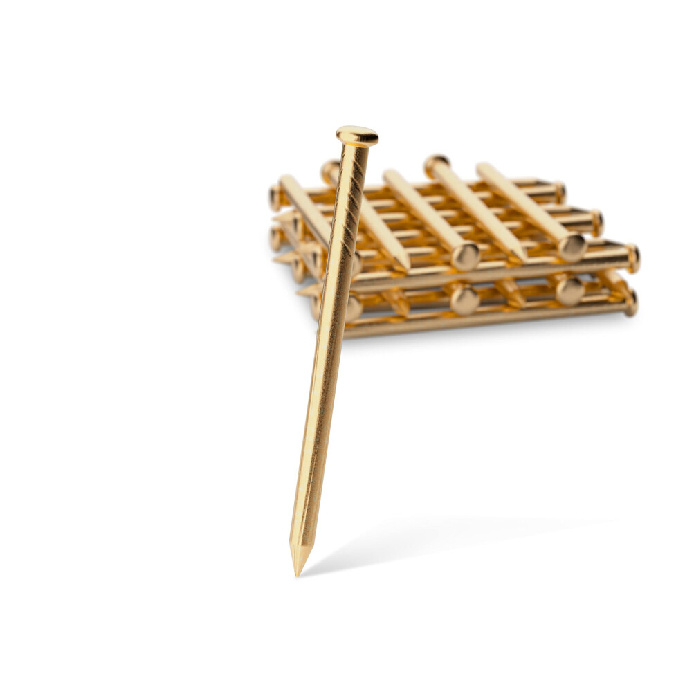 100X Brass Wall Pins 25Mm Panel Wire Hanging Photos/Art/Picture Frames Gold Nail 74662524
