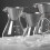 Glass Coffee Pot with Filter High Temperature Espresso Pots Graduated Scale Coffee Server 600ml 1