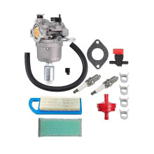 Vergaserkit für 13,5 PS 591731 796109 594593 590400 796078 498811 794161 795477 31H777-Motor