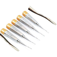 5 EA German Premium Root Dental Tooth Extracting Elevator # 77R-Dental Elevators