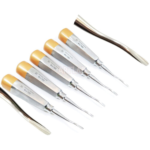 5 EA German Premium Root Dental Tooth Extracting Elevator # 77R-Dental Elevators