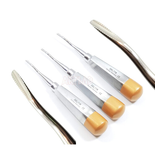 5 EA German Premium Root Dental Tooth Extracting Elevator # 77R-Dental Elevators 1