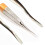 5 EA German Premium Root Dental Tooth Extracting Elevator # 77R-Dental Elevators 4