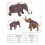 Mammoth Model Simulation Statue Realistic Plastic Mammoth Animal Collection Toy Gift 3