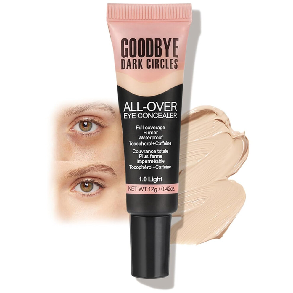 Dark/Light Under Eye Concealer Full Coverage Brightening Waterproof Circle Corrector 01