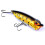 Poppers 5-pack 6.5 cm / 12 g 3