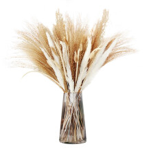 Dried Flowers 65x45cm Boho Arrangement for Wedding, Fall Decor, Velvet Pumpkins, Beige Pothos, White & Pumpkin Accents – Compatible with Home Party