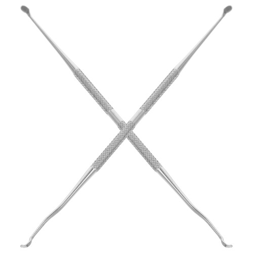 2 Pcs Practical Double Needle Beekeeping Moving Tool Worm Insect Transfer Stainless Steel