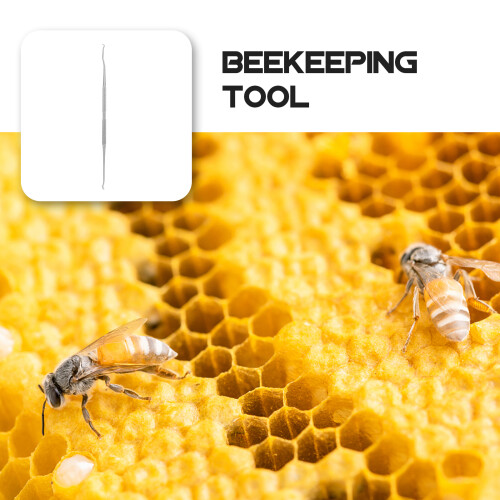 2 Pcs Practical Double Needle Beekeeping Moving Tool Worm Insect Transfer Stainless Steel 2