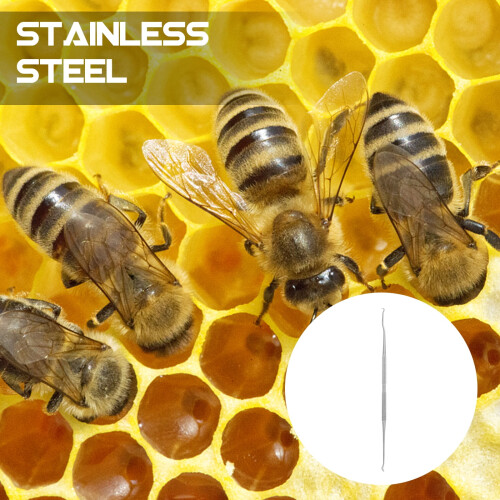 2 Pcs Practical Double Needle Beekeeping Moving Tool Worm Insect Transfer Stainless Steel 1