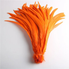 50pcs Natural Chick Tail Feathers 25-40cm / 10-16inch Clothing Decoration Stage Performance Rooster Tail Feathers Plume Orange 35-40cm