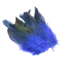 BLESIYA 50 Pieces Feathers for Crafts Chicken Feather for Party Wedding Arrangements Blue