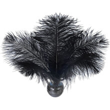 24pcs Natural Black Ostrich Feathers Plumes 8-10 inches (20-25 cm) Bulk for DIY Halloween Decorations, Wedding Party Centerpieces, Gatsby Decorations