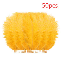 50 Pcs Colorful Plumage for Wedding Party Centerpieces, Flower Arrangement, DIY Home & Hair Decoration - Compatible with Craft Projects