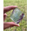 Rainbow Fluorite Slab, 1.5-2.5" Fluorite Fluorite Slice 4