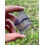 Rainbow Fluorite Slab, 1.5-2.5" Fluorite Fluorite Slice 2