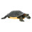 Realistic Solid Simulation Turtle Model Toy Ornament for Home Desktop Using 1