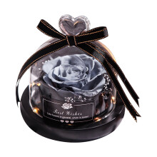 Tarmeek Preserved Fresh Flower in Glass, Handmade Real Roses with Gift Box, compatible with Valentine's Decorations for Her, Wedding, Christmas,