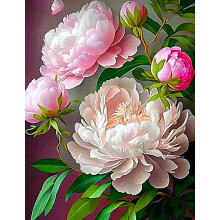 Peony Surprise to Grow Pots to Grow  Fall or Spring Indoor or Outdoor(Cymbidium for Planting),Peony For Sale