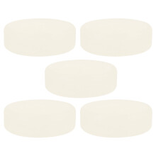5 Pcs Indoor Hockey Pucks Ice Hockey Plastic Hockey Ball Indoor Multifunction Pvc Fitness