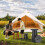 Portable Telescopic Stool, Upgraded Folding Camping Stool Adjustable Blue 2