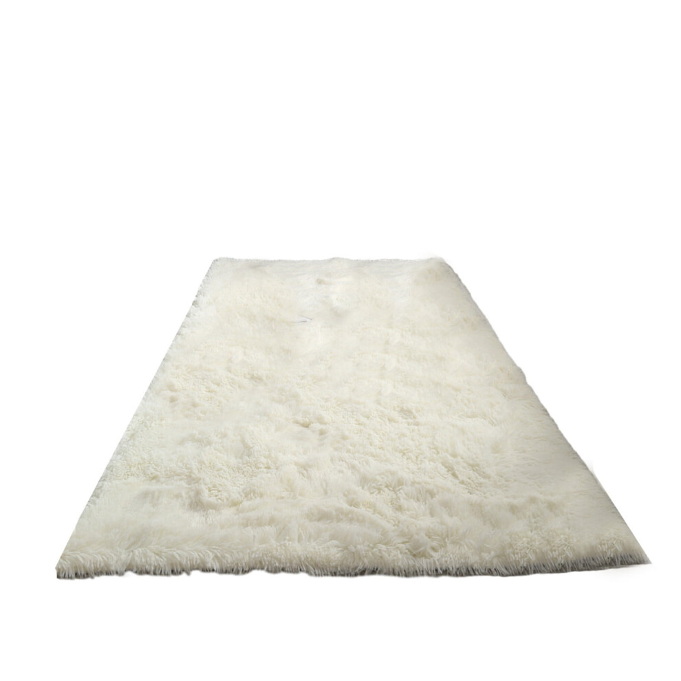 Yonrjhukm Plush Area Rugs for Bedroom, Shag Rugs for Living Room, Furry Carpet for Kids Girl Room, Plush Indoor Throw Rug for Nursery