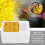 WinysinQueen Bee Rearing Beehive Beekeeping Pollination Box Beekeeper Supplies 1