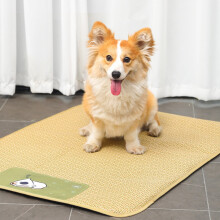 Txmfgh Summer Cool Mat: Absorbent & Portable, Keeps Pet, Kids, and Adults Cool in Hot Weather