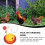 Poultry Watering Bowl Automatic Dispenser Quail Drinker Accessories Drinking Bowls Chick Plastic 5