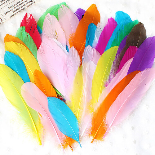 Coopserbil DIY Natural Colourful Craft Feathers (50 Count) 1
