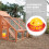 Poultry Watering Bowl Automatic Dispenser Quail Drinker Accessories Drinking Bowls Chick Plastic 3