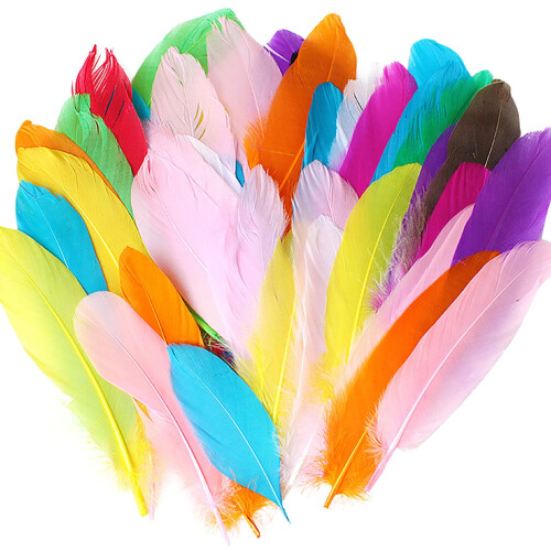 Coopserbil DIY Natural Colourful Craft Feathers (50 Count) 2