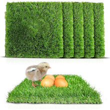 Chicken Nesting Pads (6 Pack) 12x12x1.57 inches - THICKEST Nesting Box Pads for Chickens, Washable Coop Pads