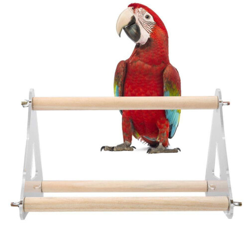 Parrot Training Stand with Triangular Stable Design, Wooden Tabletop Perch for Parakeet Cockatiel Conure