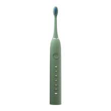 Electric Toothbrush for Adults with 8 Heads, 6 Modes, IPX7 Waterproof, Fast Charging, Long Battery Life (Green)