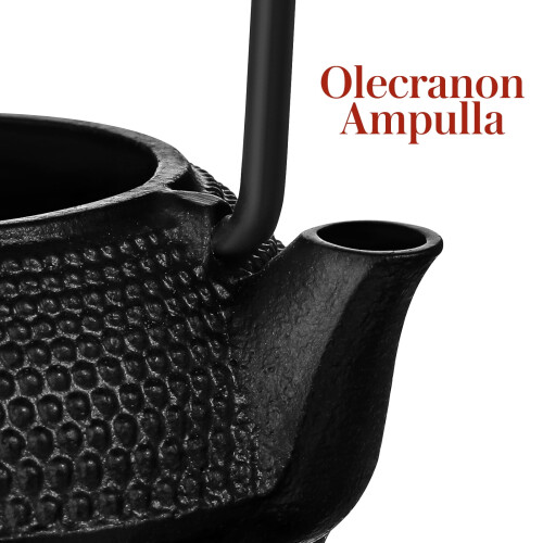 Stovetop Whistling Tea Kettle with Handle - Black 2