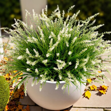Artificial Outdoor Plants UV Resistant No Fade Faux Grass Shrubs for Porch Patio Garden Decor White 12 Pcs