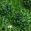 6pcs Artificial Boxwood Topiary Balls for Home Decor 6