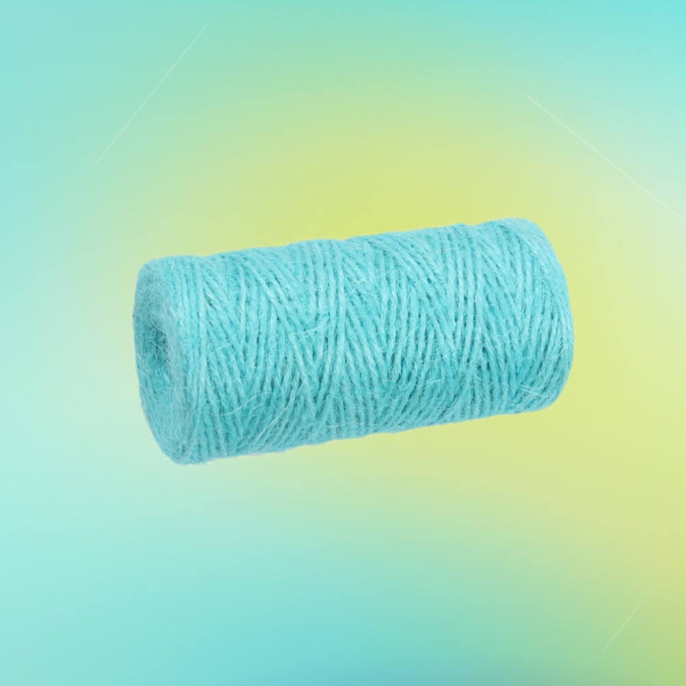 100M Hemp Rope Arts And Crafts Hemp Rope For Gifts Diy Crafts Festive Decoration Bundling And Gardening (Sky-Blue) 9329345903267