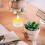 Eease Aluminum Tea Light Cups with Wick for Candle Making 2