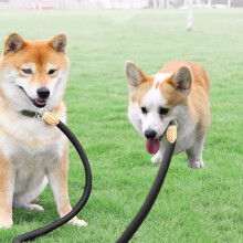 Double Dog Leash, 360 Swivel, Reflective, Adjustable, Comfortable Shock Absorbing Lead for 2 Dogs
