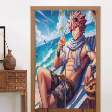 Natsu Dragneel Door Curtain for Doorway, Pattern Print Blackout Privacy Window Curtain, Room Divider Curtain Tapestry Home Decor, 34" W X 56" L