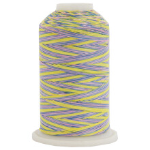 Variegated Cotton Thread 600M by Threadart - Color 2636 - Wildflowers - 40/3wt - 22 Colors Available