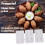 Meatball Maker Press Tool, ABS Mold for Uniform Shape, Dishwasher Safe, 4 Compartments Kitchen Use 5