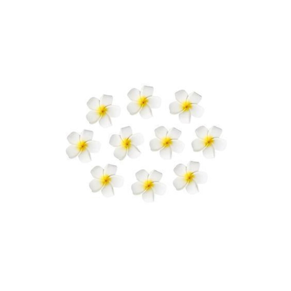 Frcolor 10Pcs 7Cm Hawaiian Flower Hair Clip Hairpin Simulation Egg Flower Headpiece For Beach Luau Party ( With Yellow) White/Yellow 9402001826961